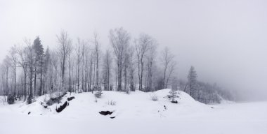 kış da sahilinin panoramik görünüm