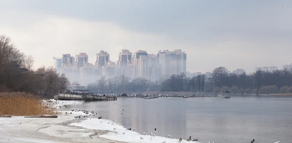 Stock image St. Petersburg's islands