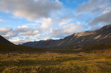 Valley in Polar Ural mountains clipart