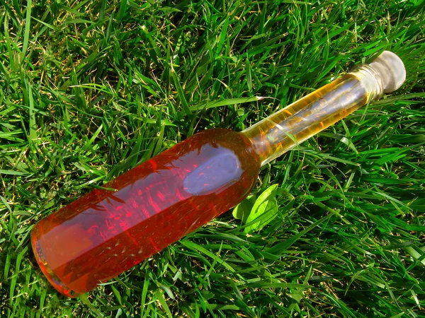 瓶酒在绿色草地上 — 图库照片