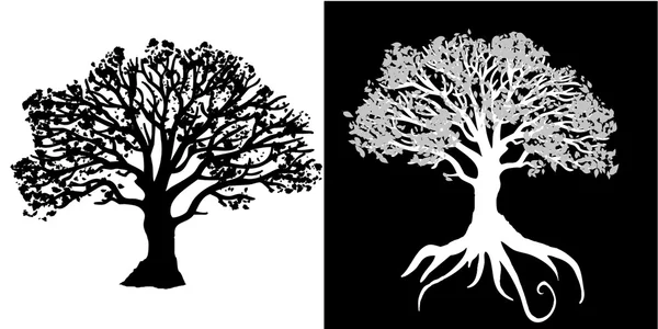 Два дерева — стокове фото