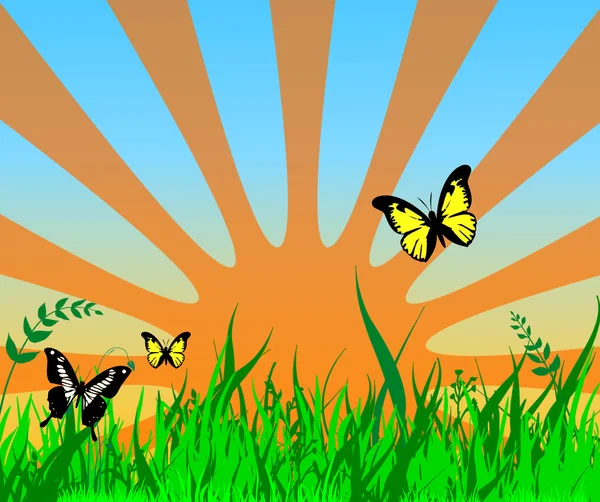 Gras, vlinders en zon — Stockfoto
