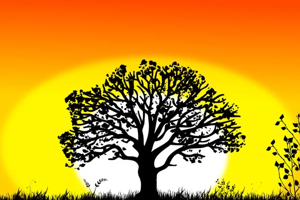 Удивительный пейзаж заката с деревом — стоковое фото