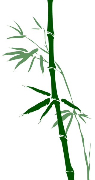 Ramas de bambú —  Fotos de Stock
