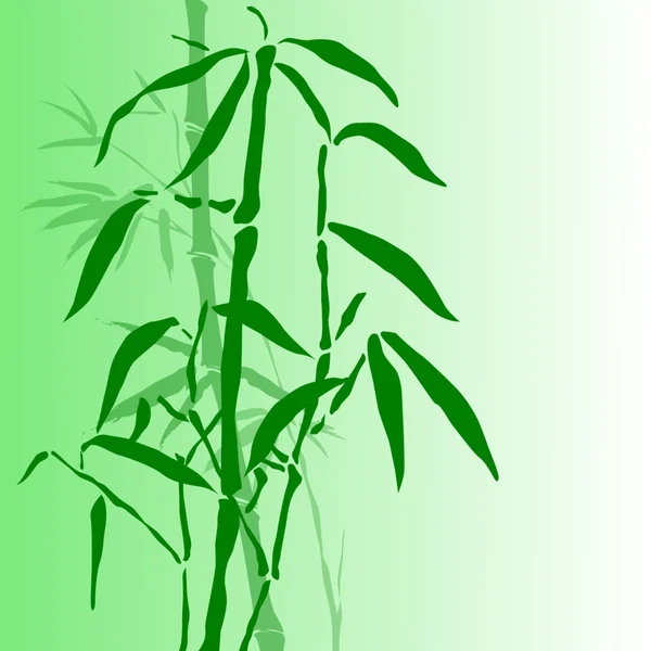 Bambus oddziałów — Zdjęcie stockowe
