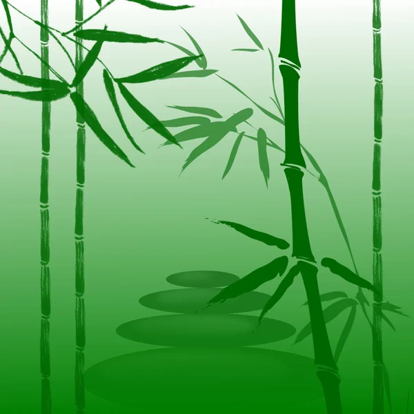 Ramos de bambu — Fotografia de Stock