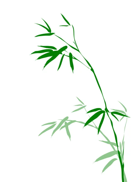 Bambus větve — Stock fotografie