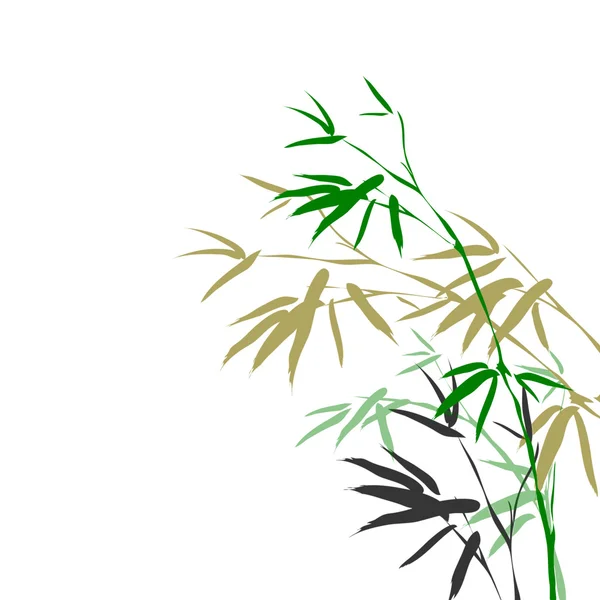 Бамбук гілок — стокове фото