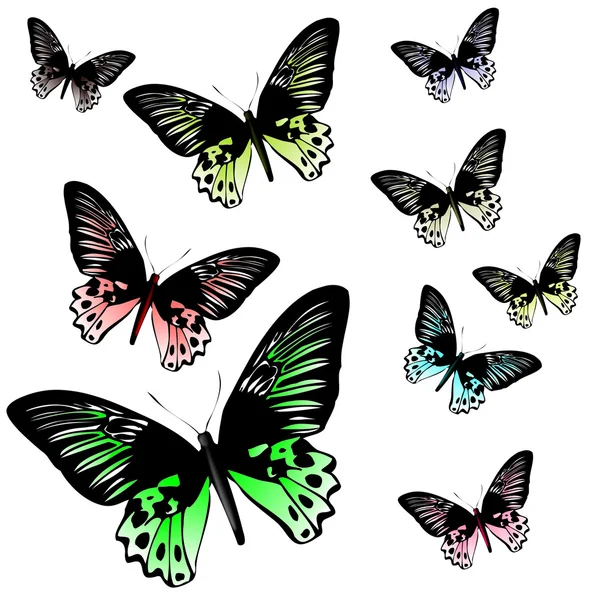 Färgade fjärilar — Stockfoto