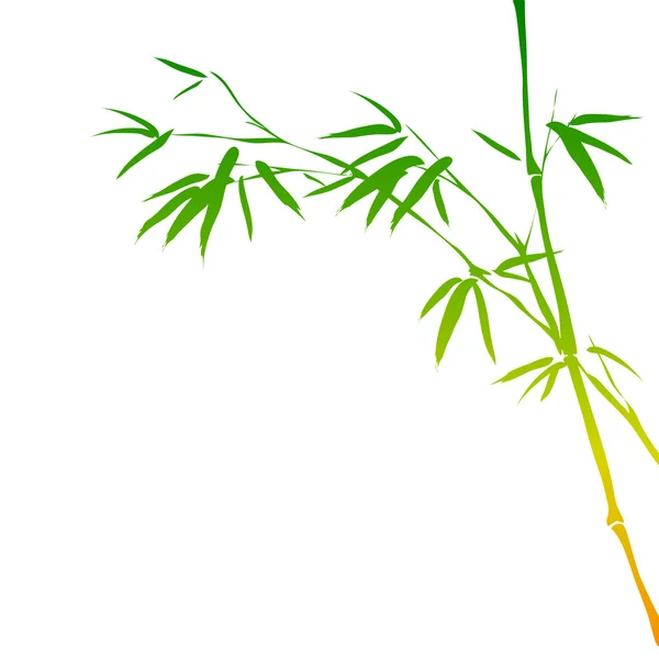 Bambu dalları