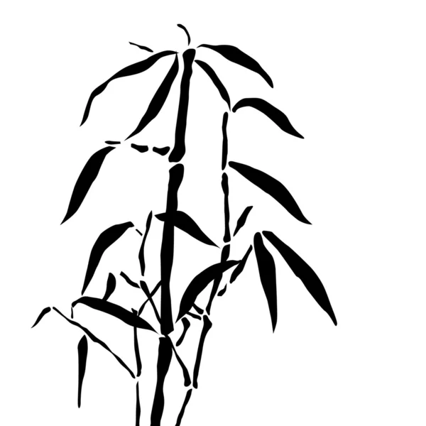 Бамбуковые ветви — стоковое фото