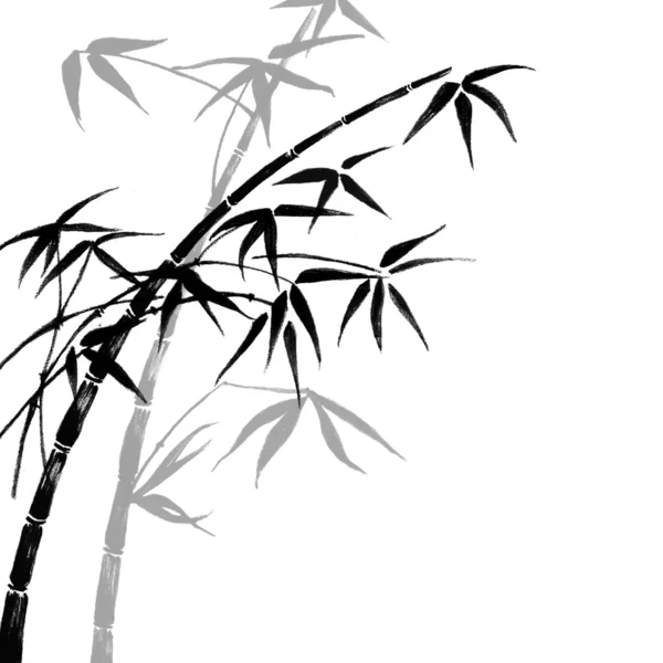 Bamboe takken — Stockfoto