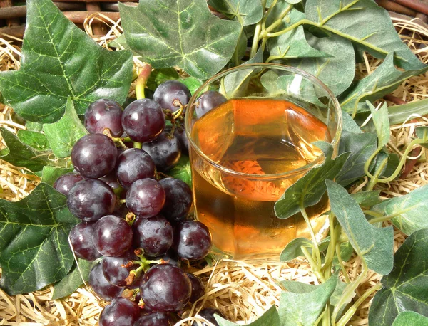Winogron i wina — Zdjęcie stockowe