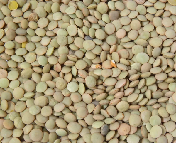 Lentils Royalty Free Stock Images