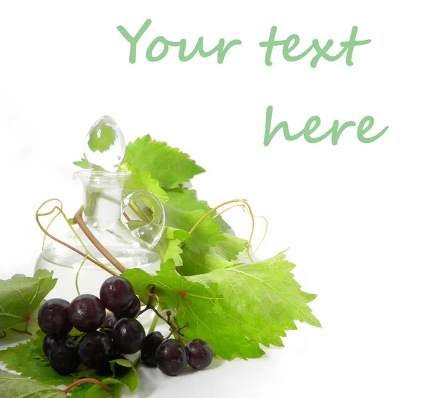 Şarap sürahi ve genç üzüm Şubesi — Stok fotoğraf