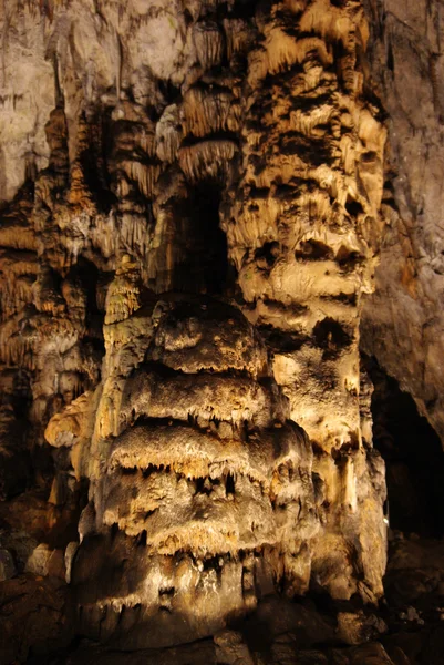 Grotte de stalactite — Photo