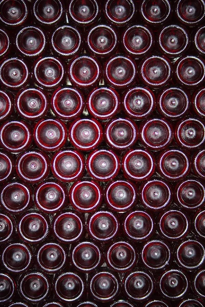 Bouteilles de vin — Photo