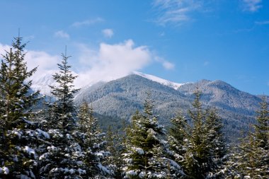 dağların panoramik görünüm