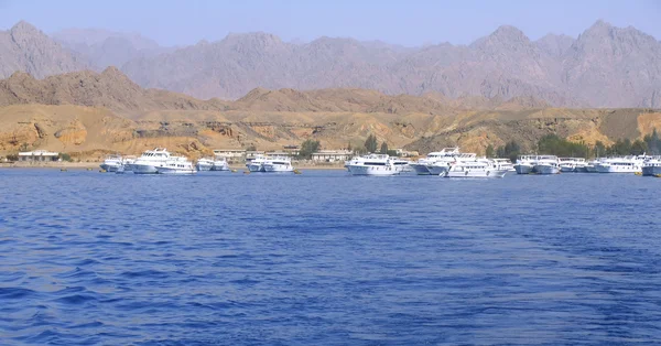 Yachts i Röda havet — Stockfoto
