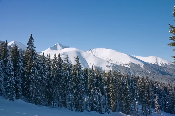 Winter mountains landscape. Bulgaria, Bansko — Stock Photo, Image