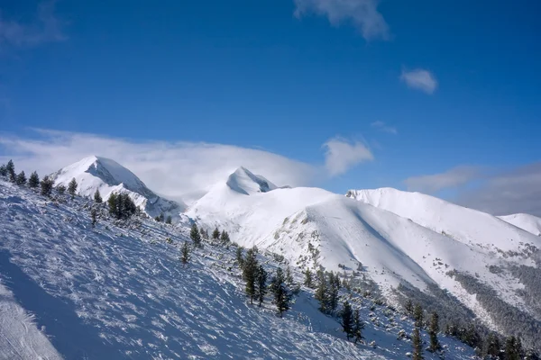 Alpské sjezdovky v zimě Bulharsko — Stock fotografie