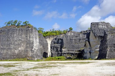 Garuda. Wisnu. Bali