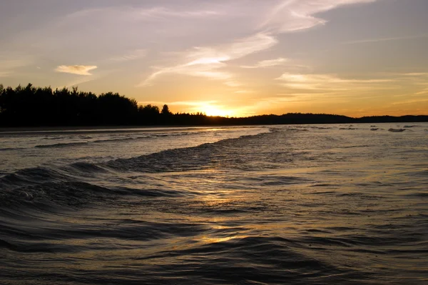 Niet door de mens veroorzaakte stranden van de kust van het schiereiland sematan. avond. Borneo. — Stockfoto