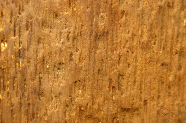 Structure of the ancient hardened mahogany. — Stock Photo, Image