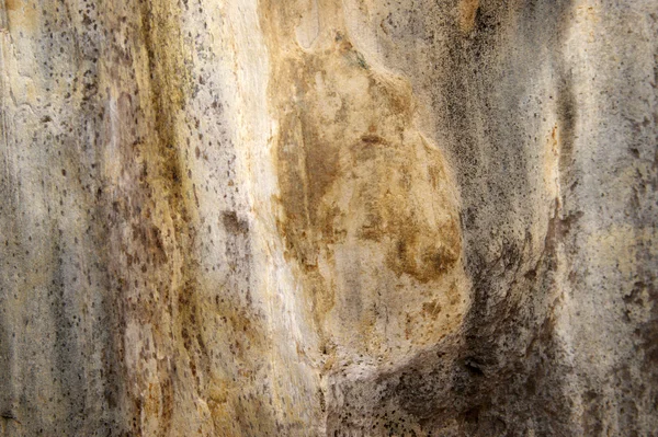 Структура стародавньої загартованої махоги . — стокове фото