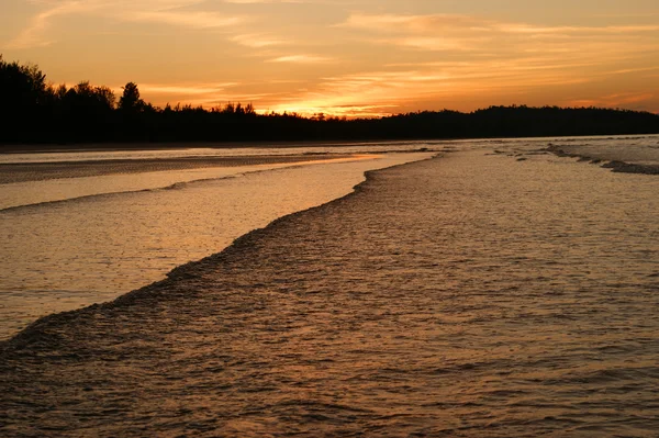 Inte konstgjorda stränderna på kusten av halvön sematan. kväll. Borneo. — Stockfoto