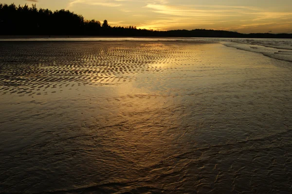 士马丹半岛海岸的不人造海滩。傍晚。人权法案 — 图库照片