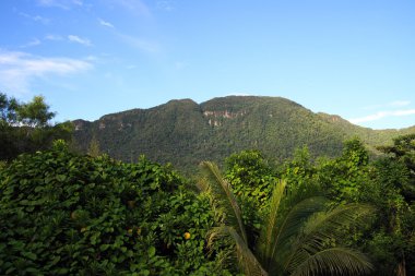 Mountain landscapes of state of Saravak. Borneo. clipart