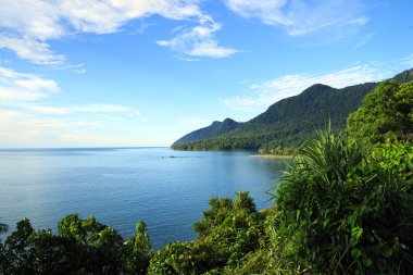 Coast of Saravak. Borneo. clipart