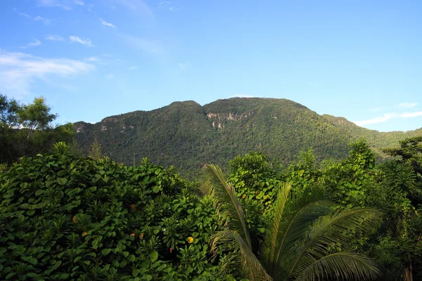 Saravak の状態の山の風景。ボルネオ島. — ストック写真