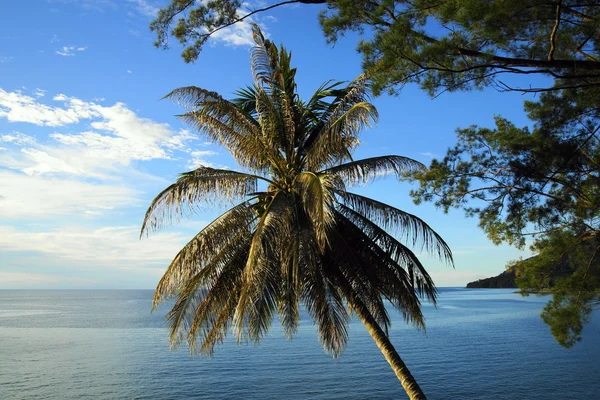 Coast of Saravak. Borneo. — Stock Photo, Image