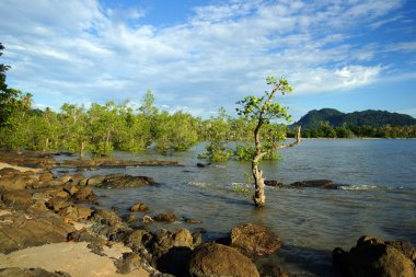 santubong Yarımadası kıyılarında Denizi. Borneo.