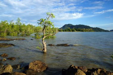 The sea of coast of peninsula Santubong. Borneo. clipart