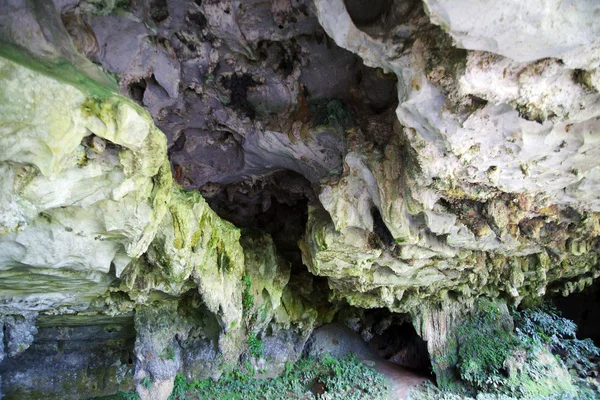 Anciennes grottes. Bornéo . — Photo