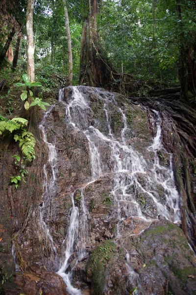 Wodospady w rainforest. Phuket. Tajlandia — Zdjęcie stockowe