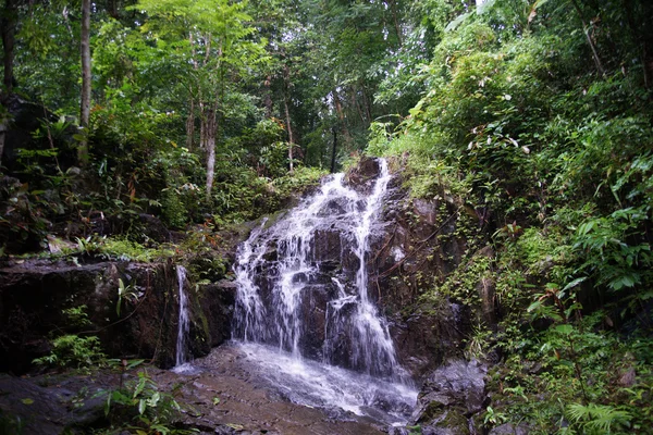 雨林的瀑布。普吉岛。泰国 — 图库照片