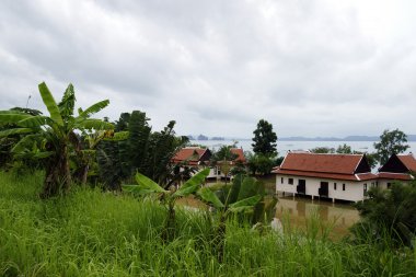 Evde su denize karşı. Krabi. Tayland