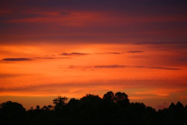 Sunset. Borneo.