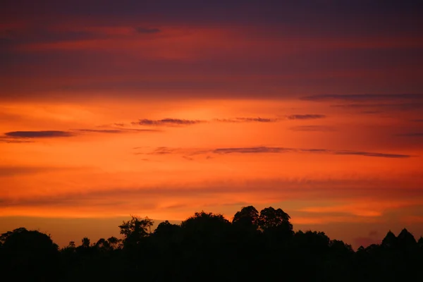 Закат. Борнео . — стоковое фото