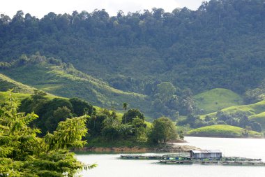 Blue lake in een jungle van borneo