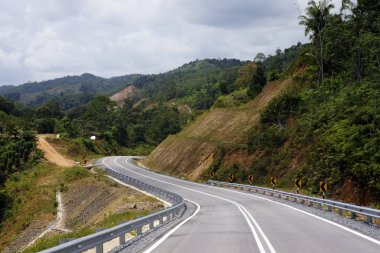 bir Adası borneo ormanda.