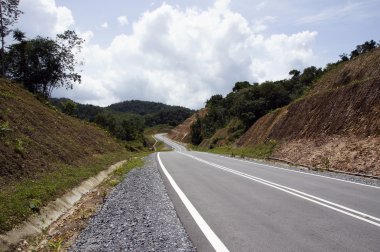 bir Adası borneo ormanda.