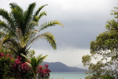 Borneo dağlık bir ormanda Gölü