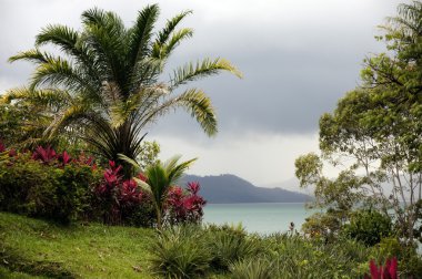 Borneo dağlık bir ormanda Gölü