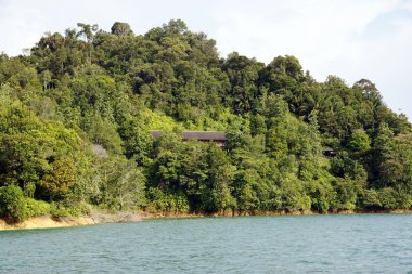 Borneo dağlık bir ormanda Gölü