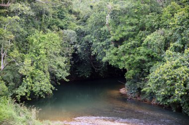 nehirler borneo.